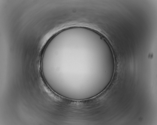 X0000115301511200911161645