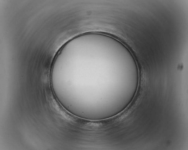 X0000115301513200911161645