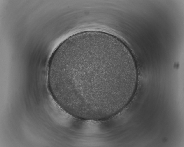 X0000115301514200911161645