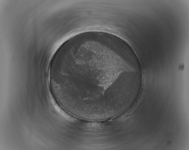 X0000115301515200911161645