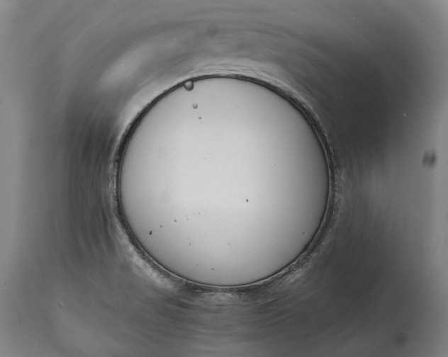 X0000115301517200911161645