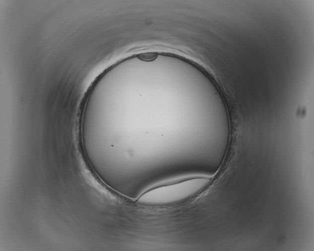 X0000115301518200911161645