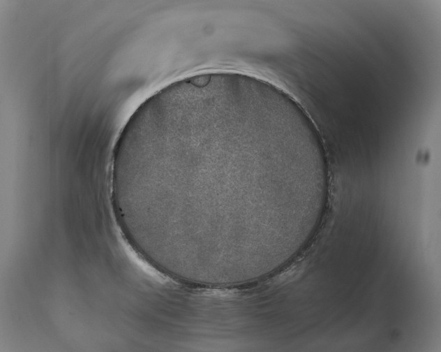 X0000115301519200911161645