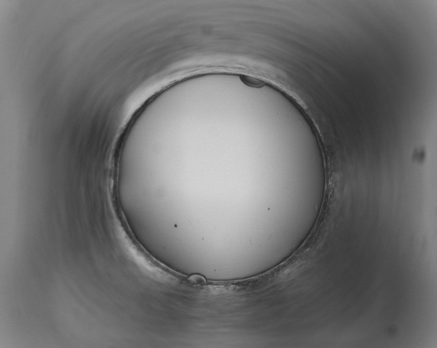 X0000115301523200911161645