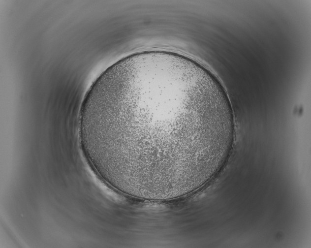 X0000115301525200911161645