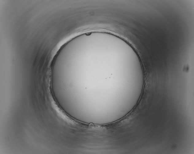 X0000115301526200911161645