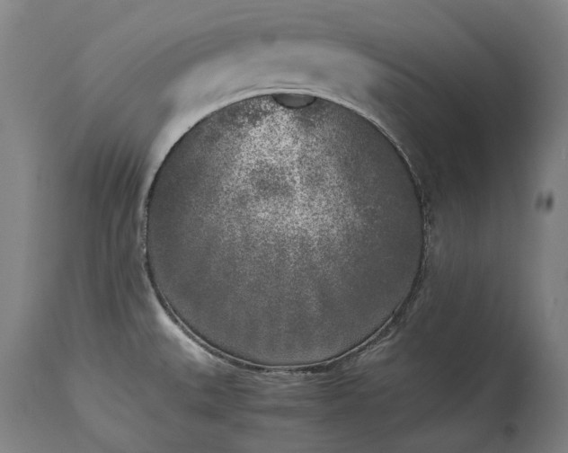 X0000115301527200911161645