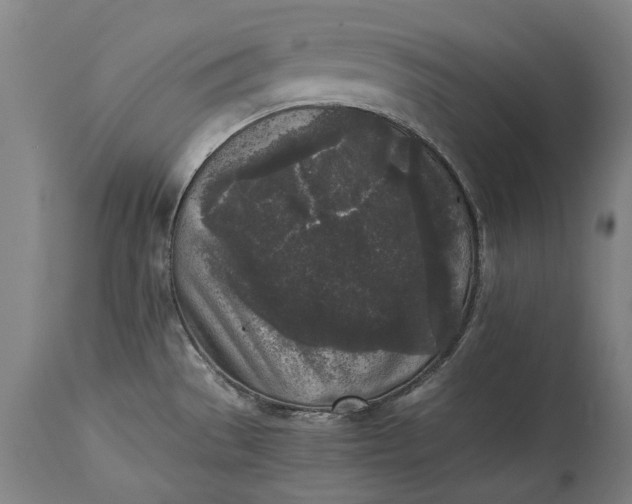 X0000115301529200911161645