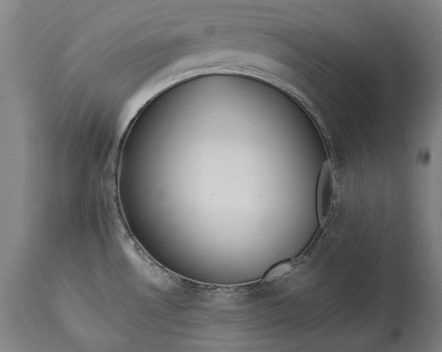 X0000115301530200911161645