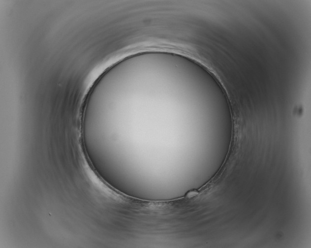 X0000115301531200911161645