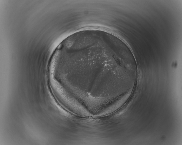 X0000115301533200911161645