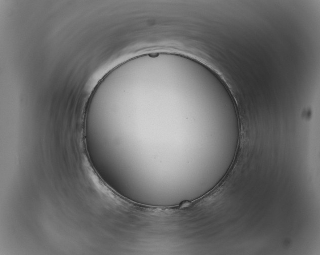 X0000115301534200911161645