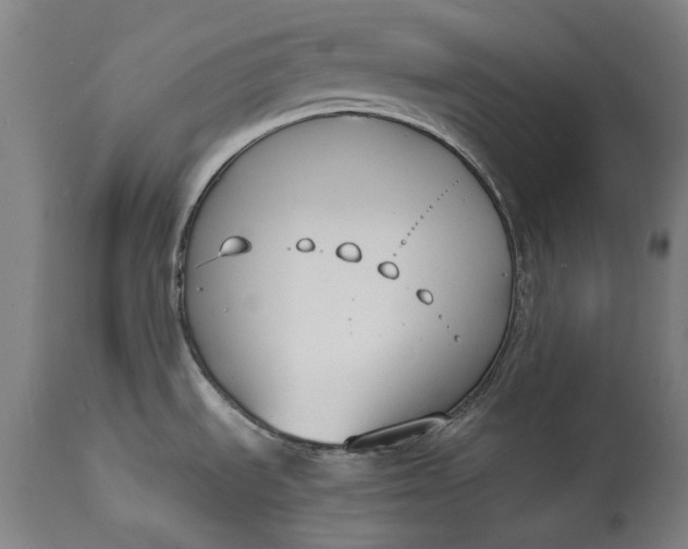 X0000115301535200911161645