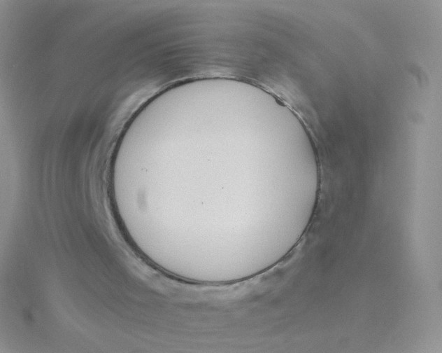 X0000115300001200911231318