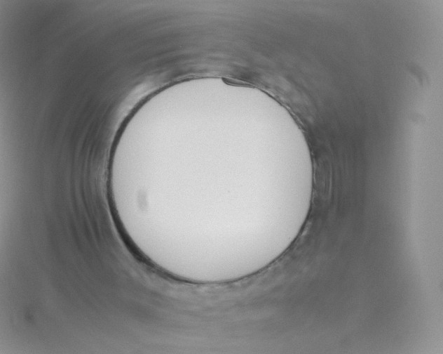 X0000115300003200911231318