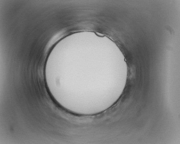 X0000115300004200911231318