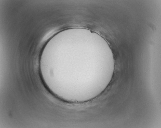 X0000115300005200911231318