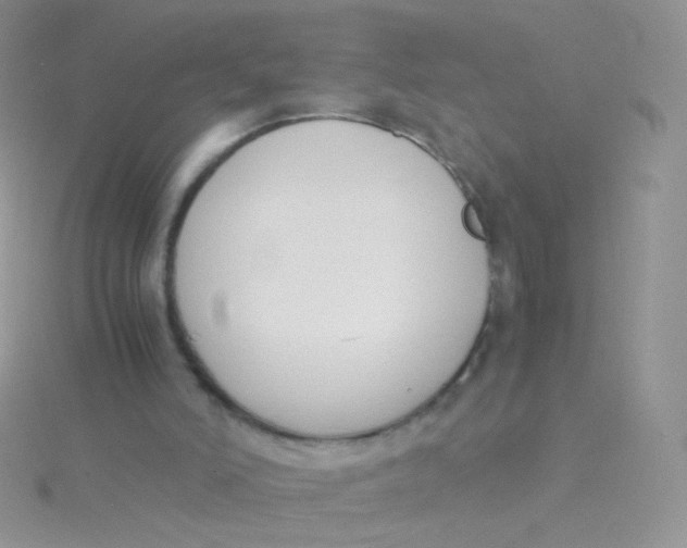 X0000115300006200911231318