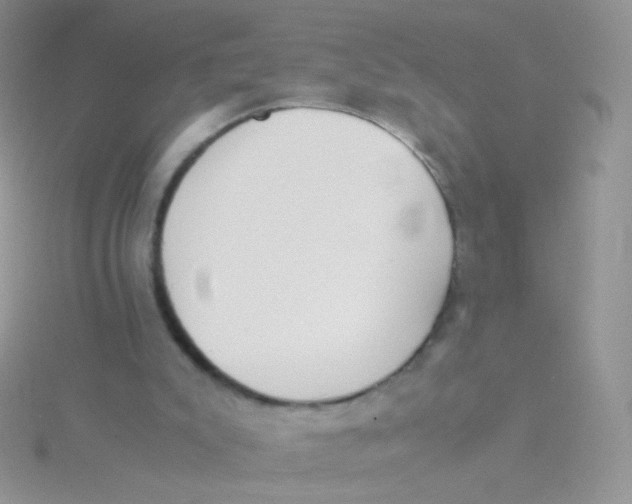 X0000115300007200911231318