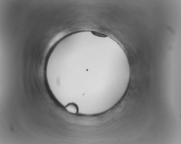 X0000115300008200911231318