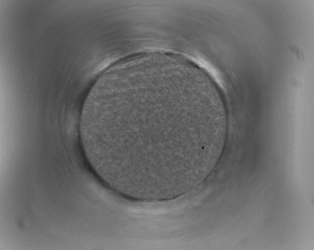 X0000115300009200911231318