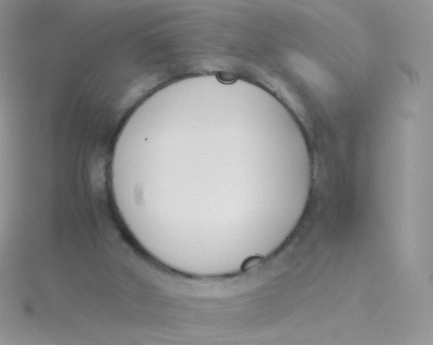 X0000115300010200911231318