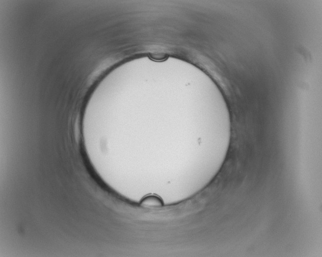 X0000115300011200911231318