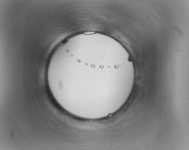 X0000115300012200911231318