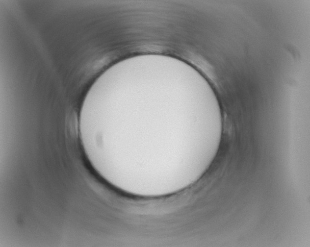 X0000115300013200911231318