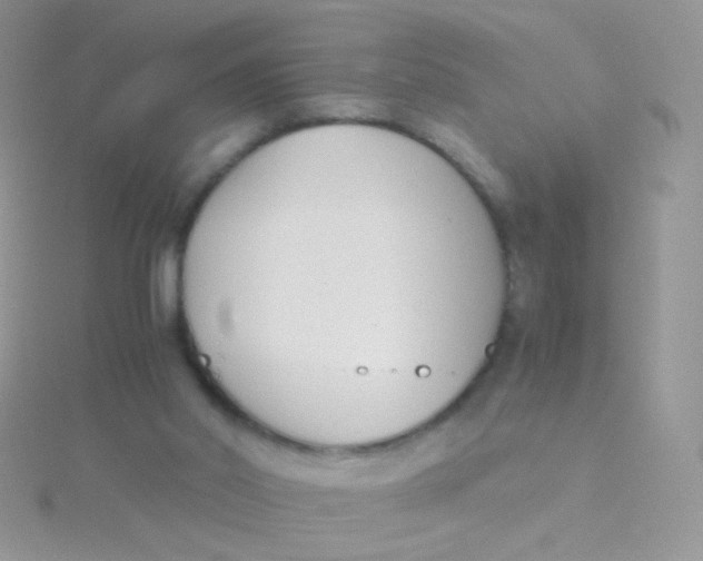 X0000115300014200911231318