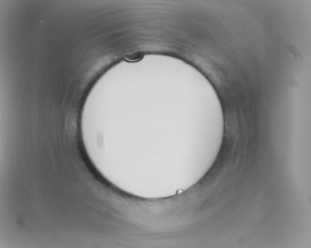 X0000115300015200911231318