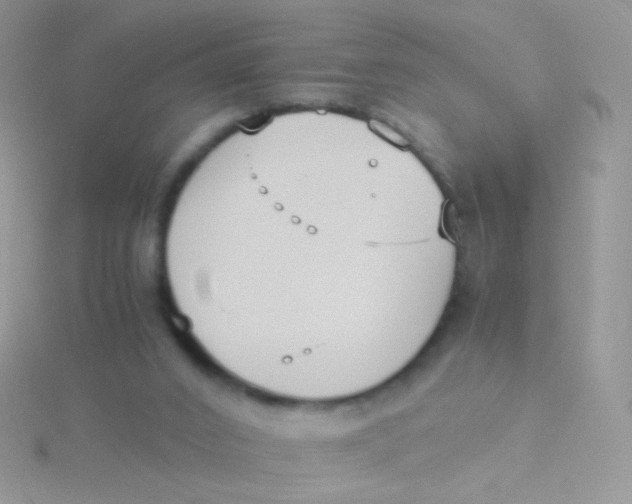 X0000115300016200911231318