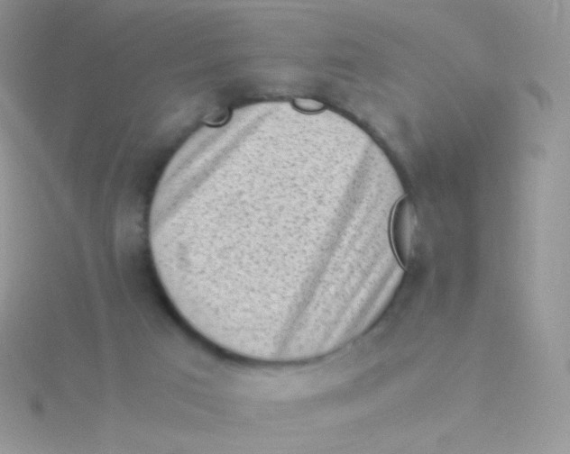 X0000115300017200911231318