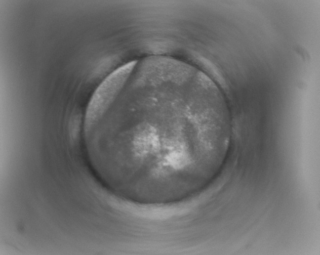 X0000115300018200911231318