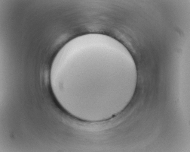 X0000115300019200911231318