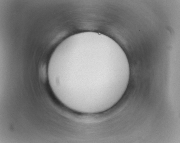 X0000115300020200911231318