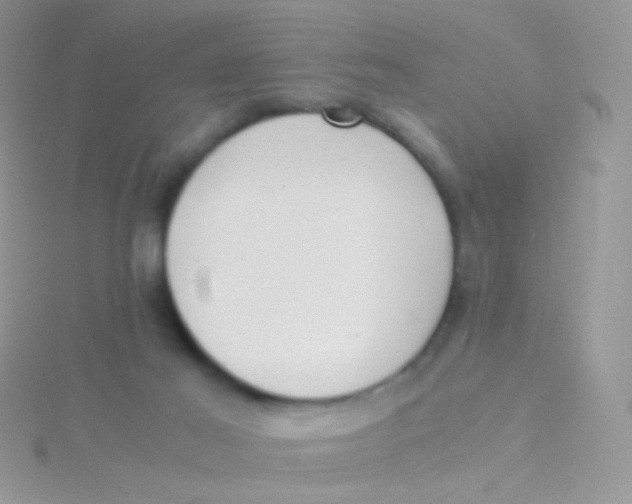 X0000115300021200911231318