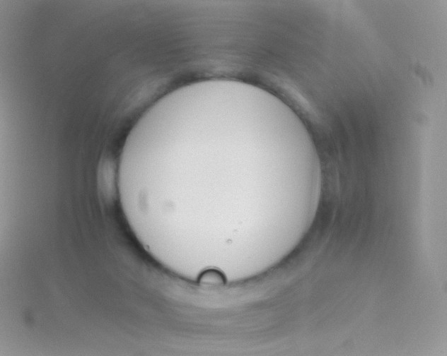 X0000115300022200911231318