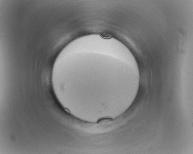 X0000115300023200911231318