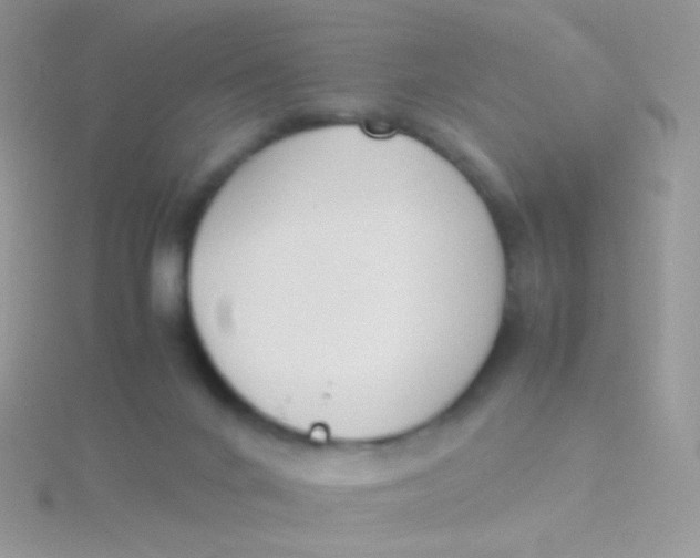 X0000115300024200911231318