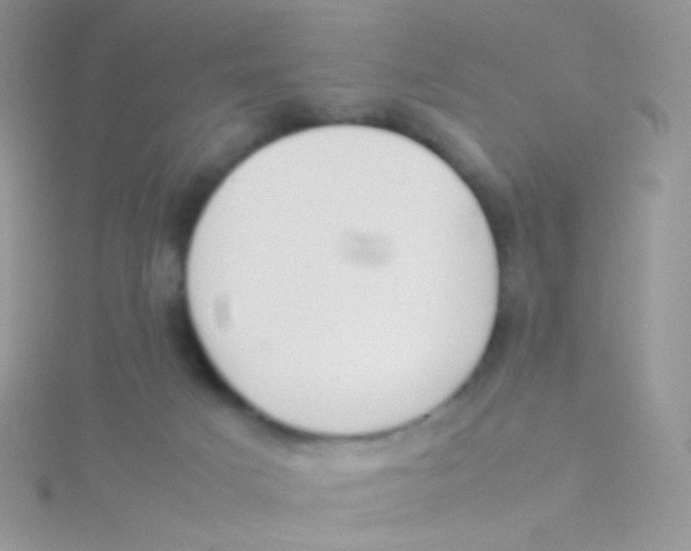 X0000115300025200911231318