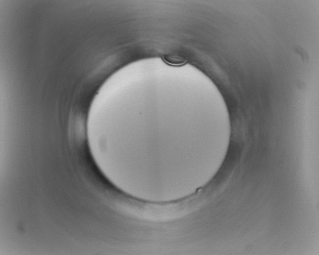 X0000115300027200911231318