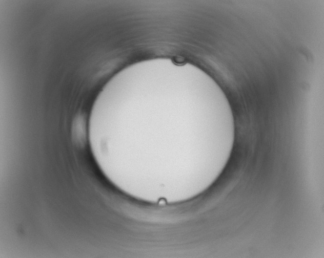 X0000115300028200911231318