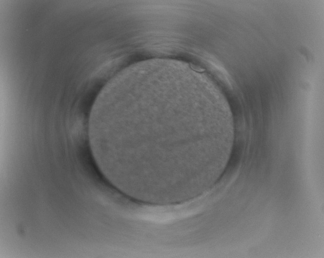 X0000115300029200911231318