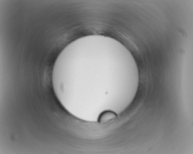 X0000115300030200911231318