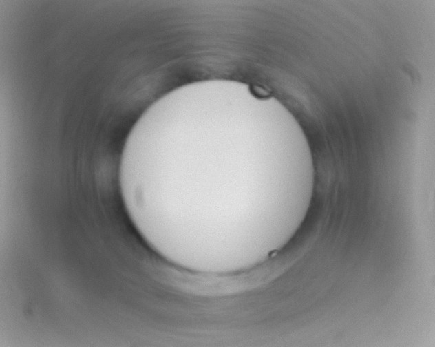 X0000115300034200911231318