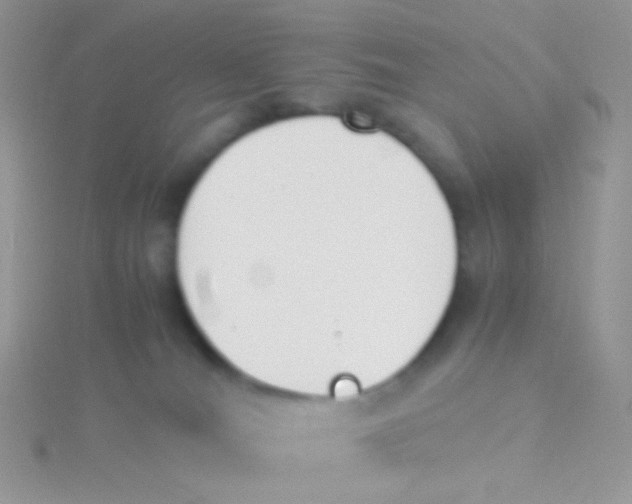 X0000115300036200911231318