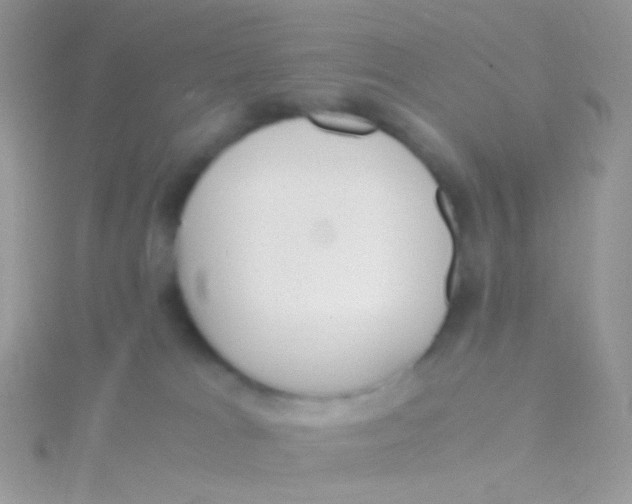 X0000115300037200911231318