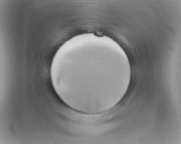 X0000115300039200911231318