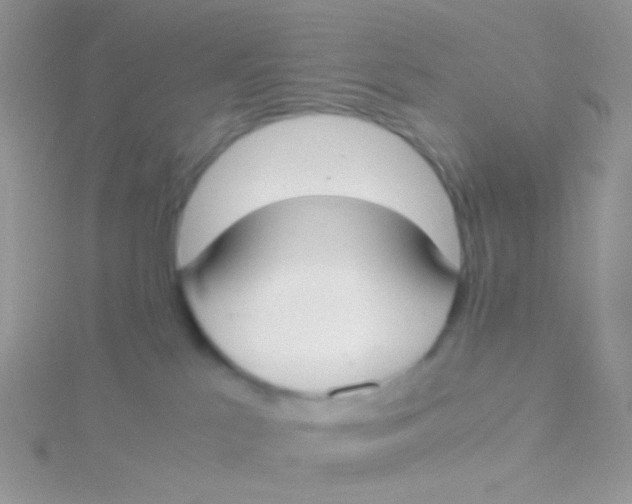 X0000115300041200911231318